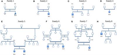 Renal and Skeletal Anomalies in a Cohort of Individuals With Clinically Presumed Hereditary Nephropathy Analyzed by Molecular Genetic Testing